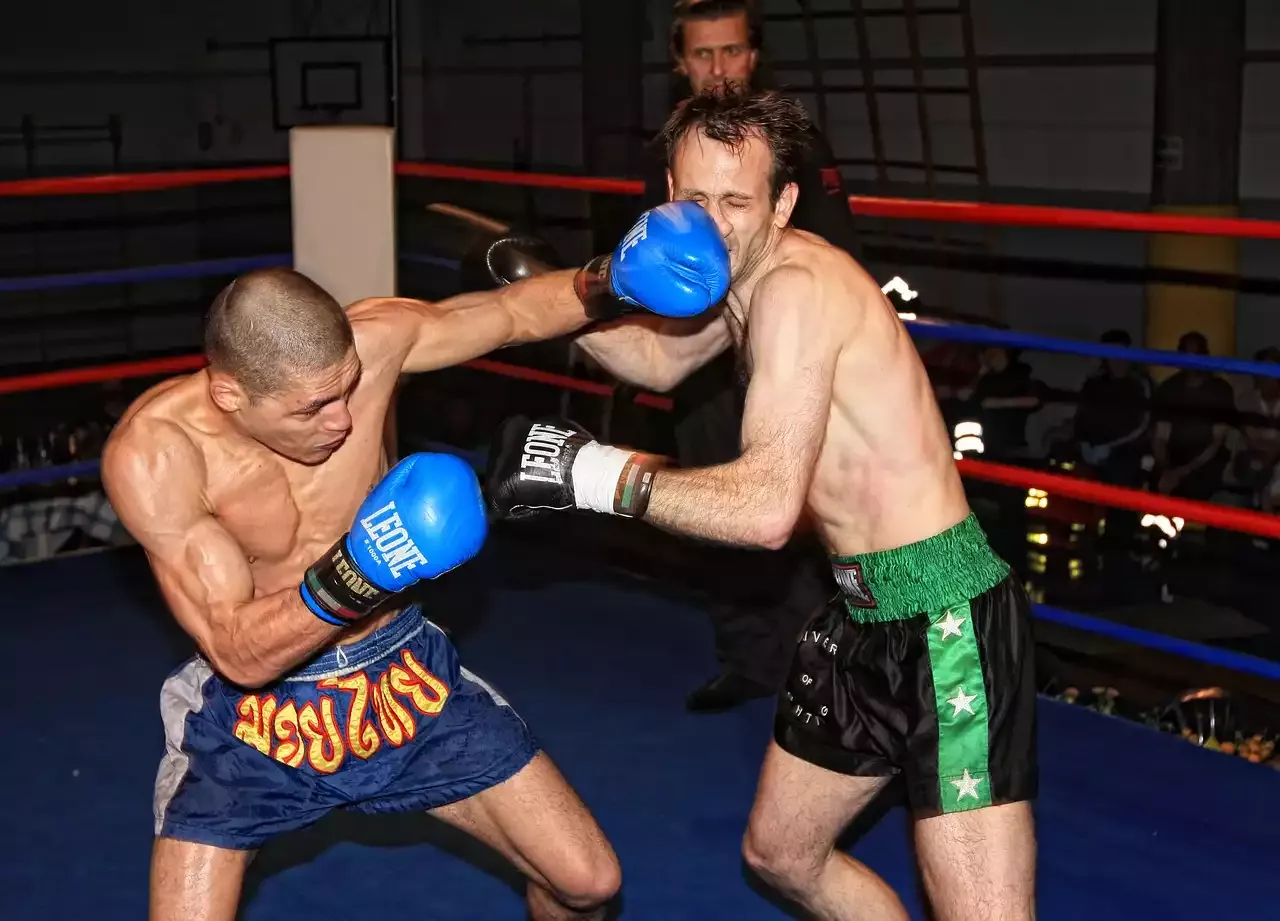 MMA-Los mejores luchadores
