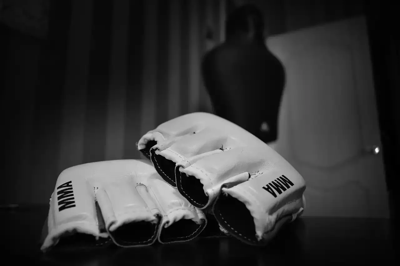 Los mayores fracasos de MMA