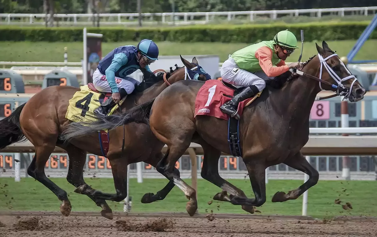 Carreras de caballos y juegos de azar