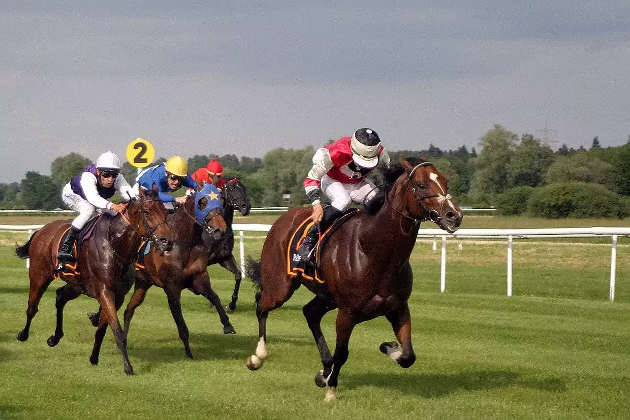 Las guineas de 1000 y 2000