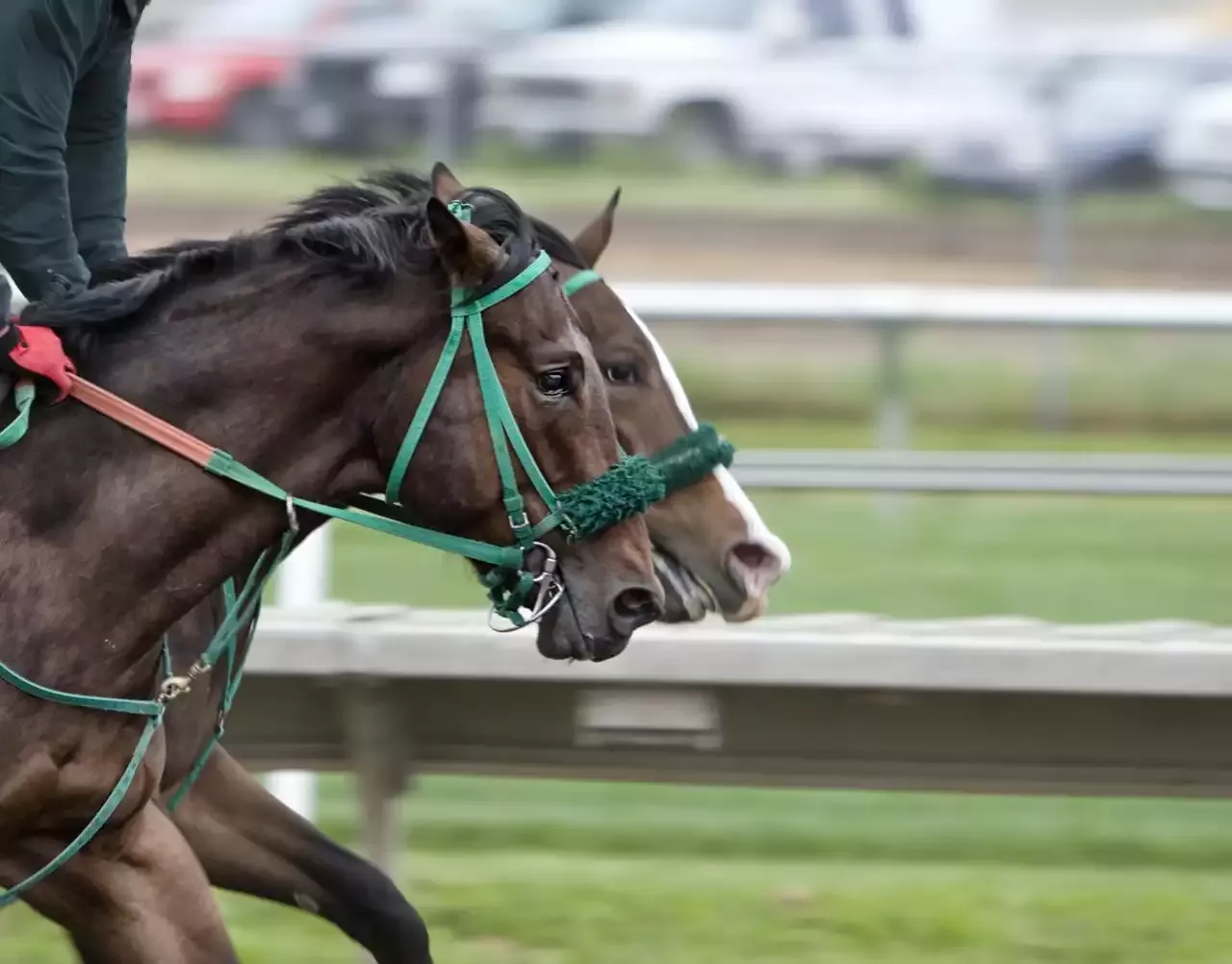 Carreras de caballos irlandeses y eventos