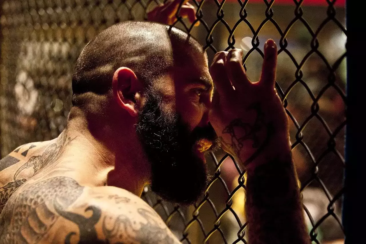 La historia de las MMA